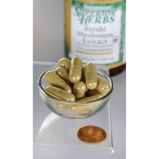 Reishi Mushroom Extract - Image 3