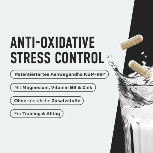 Ashwagandha root extract KSM-66® - Image 3